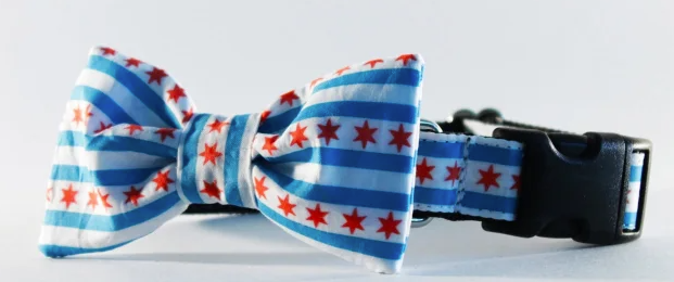 Chicago Cubs Pet Bowtie Collar