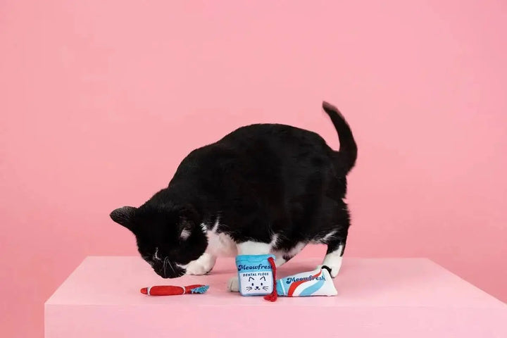 PetShop by Fringe Studio Minty Fresh Cat Toy Set 3pc