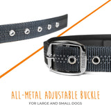 Mighty Paw Sport Collar 2.0 - Paw Naturals
