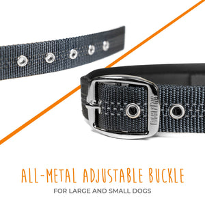 Mighty Paw Sport Collar 2.0 - Paw Naturals