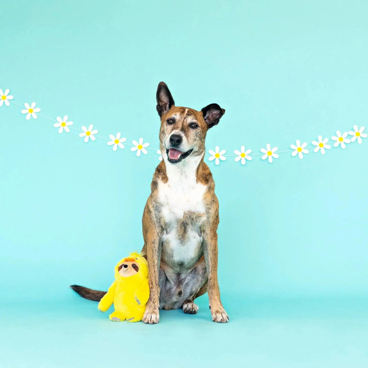 PetShop by Fringe Studio Chicks Dig It Plush Dog Toy