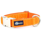 2 Hounds Design Swiss Velvet Essential Dog Collar Orange / Small (10-14") Collar - Paw Naturals