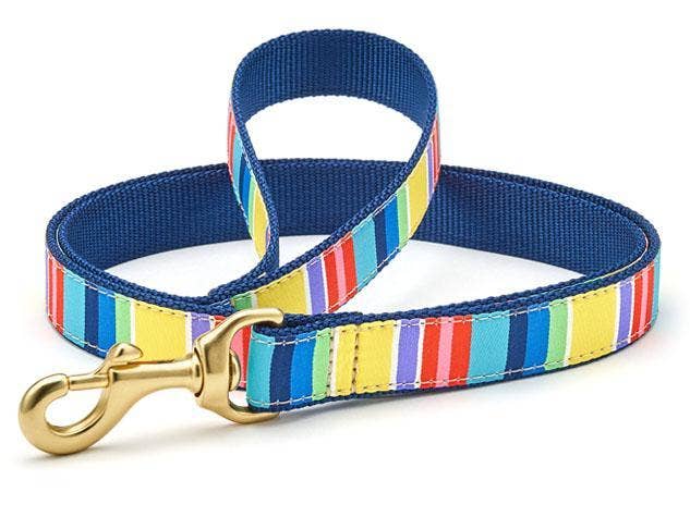 Up Country Colorful Stripe Dog Collar & Leash Collection