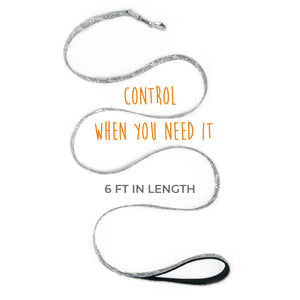 Mighty Paw Grey Paisley Designer Collar & Leash for Dogs - Paw Naturals