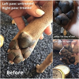 Natural Dog Company Pawtection