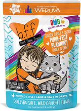 Weruva BFF OMG Gravy Wet Cat Food Pouch