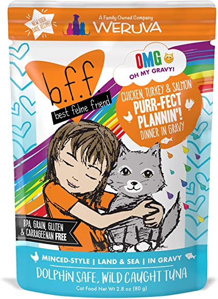 Weruva BFF OMG Gravy Wet Cat Food Pouch