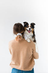 Pearhead Matching Gingham Pet Bandana and Owner Scrunchie Set