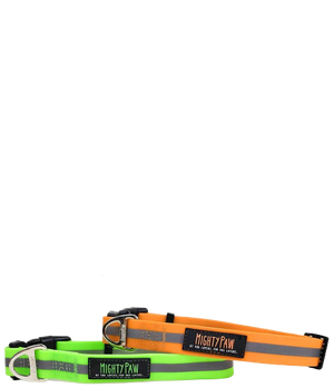 Mighty Paw Waterproof, Stink Proof, Dog Collar & Leash, 6-ft long - Paw Naturals