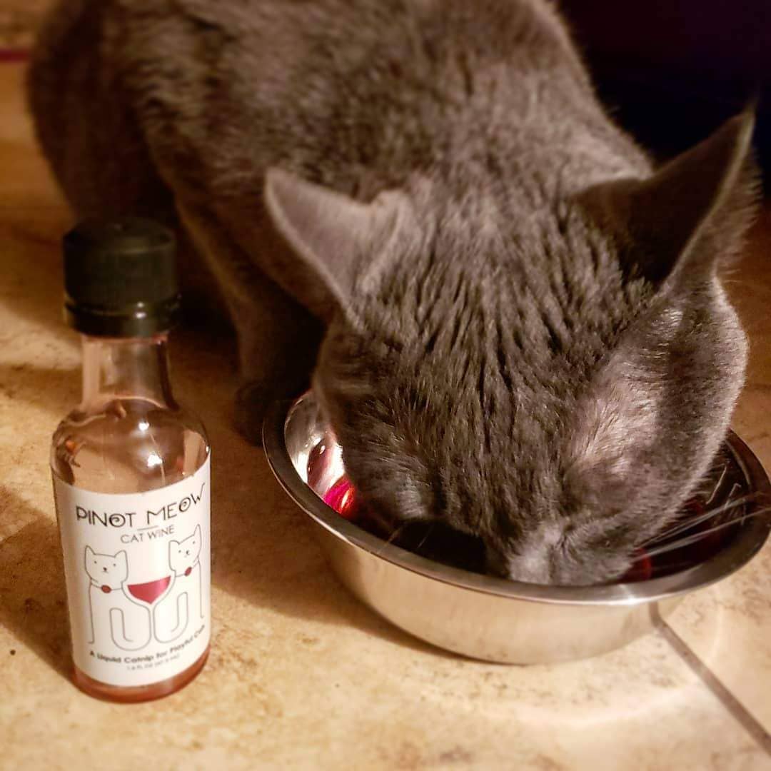 PetWineShop Pinot Meow Cat Wine Liquid Catnip For Cats - Paw Naturals