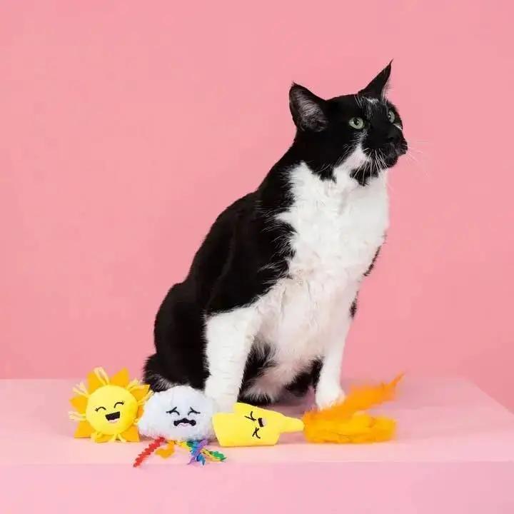 PetShop by Fringe Studio Purr-fect Weather Cat Toy Set 3pc