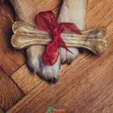 Paw Naturals Gift Card - Paw Naturals