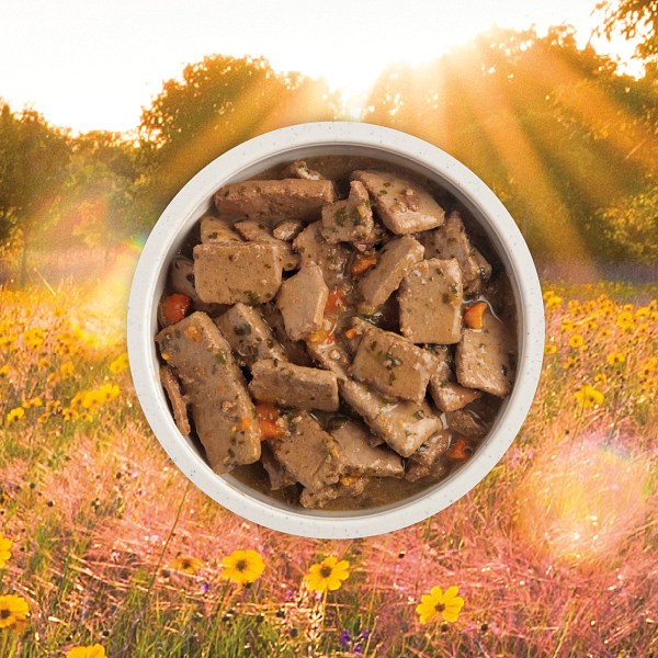 Acana Premium Chunks Canned Dog Food - Paw Naturals