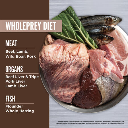Orijen Freeze-Dried Regional Red Dog Food