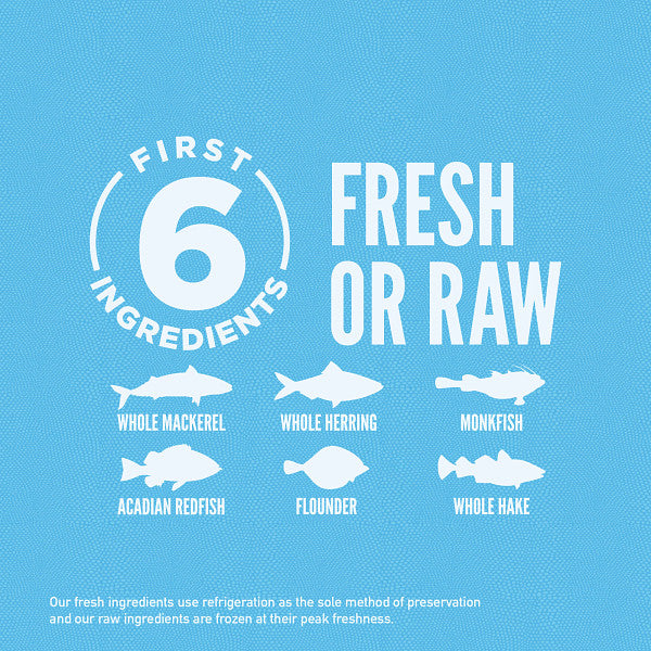 Orijen 6 Fish Dry Dog Food - Paw Naturals