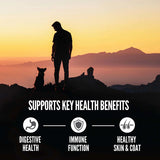 Orijen Amazing Grains Regional Red Dry Dog Food - Paw Naturals