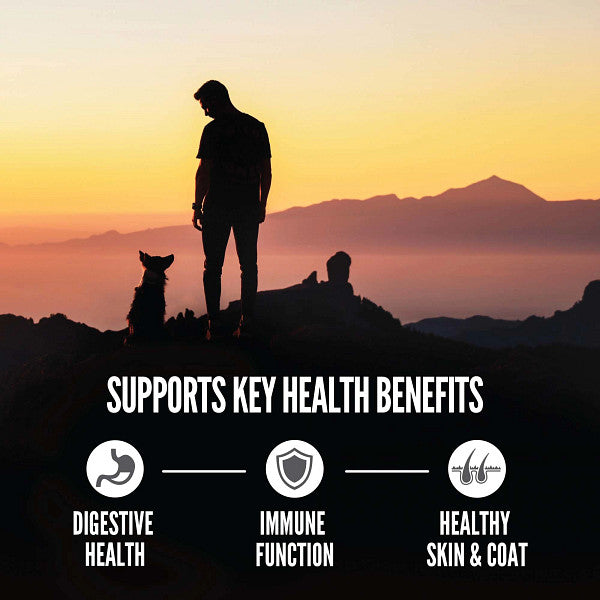 Orijen Amazing Grains Regional Red Dry Dog Food - Paw Naturals