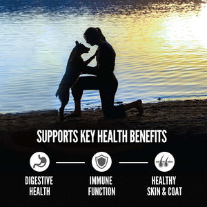 Orijen Amazing Grains 6 Fish Dry Dog Food - Paw Naturals