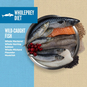 Orijen Amazing Grains 6 Fish Dry Dog Food - Paw Naturals