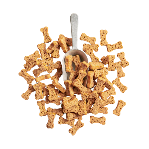 PolkaDog Bakery Bones Salmon Says Treats 8oz