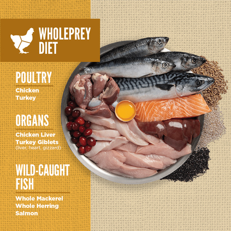 Orijen Amazing Grains Puppy Dry Dog Food