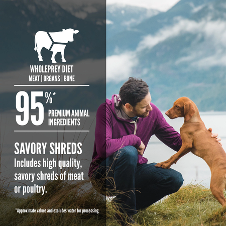 Orijen Premium Stew Beef Canned Dog Food