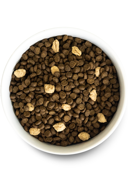 Open Farm Cat RawMix Grain-Free Wild Ocean Dry Cat Food