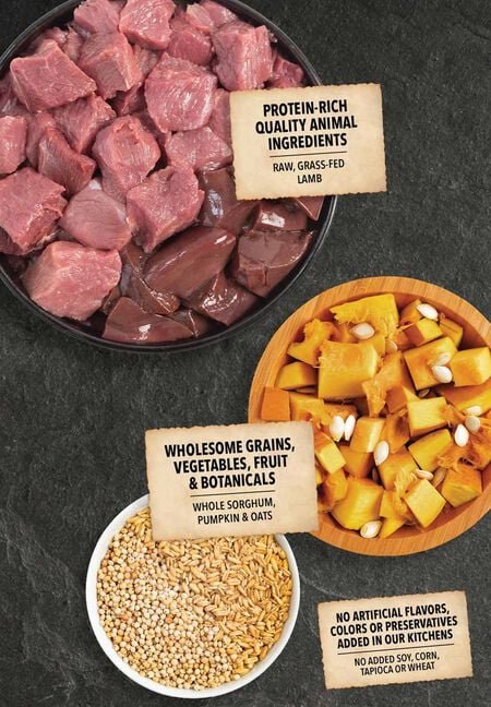 Acana Wholesome Grains Limited Ingredient Diet Lamb & Pumpkin Recipe Dry Dog Food