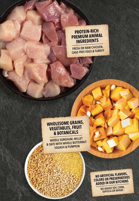 Acana Wholesome Grains Puppy Recipe Dry Dog Food