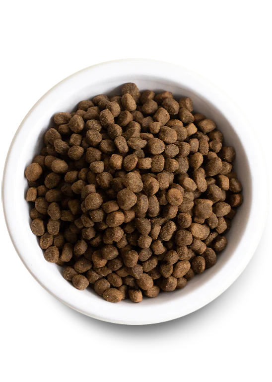 Open Farm Kind Earth Premium Plant Recipe Dry Dog Food - Paw Naturals