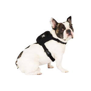 Canada Pooch Pack It Jacket Dog Raincoat - Paw Naturals