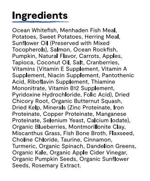 Open Farm RawMix Ancient Grains Wild Ocean Dry Dog Food