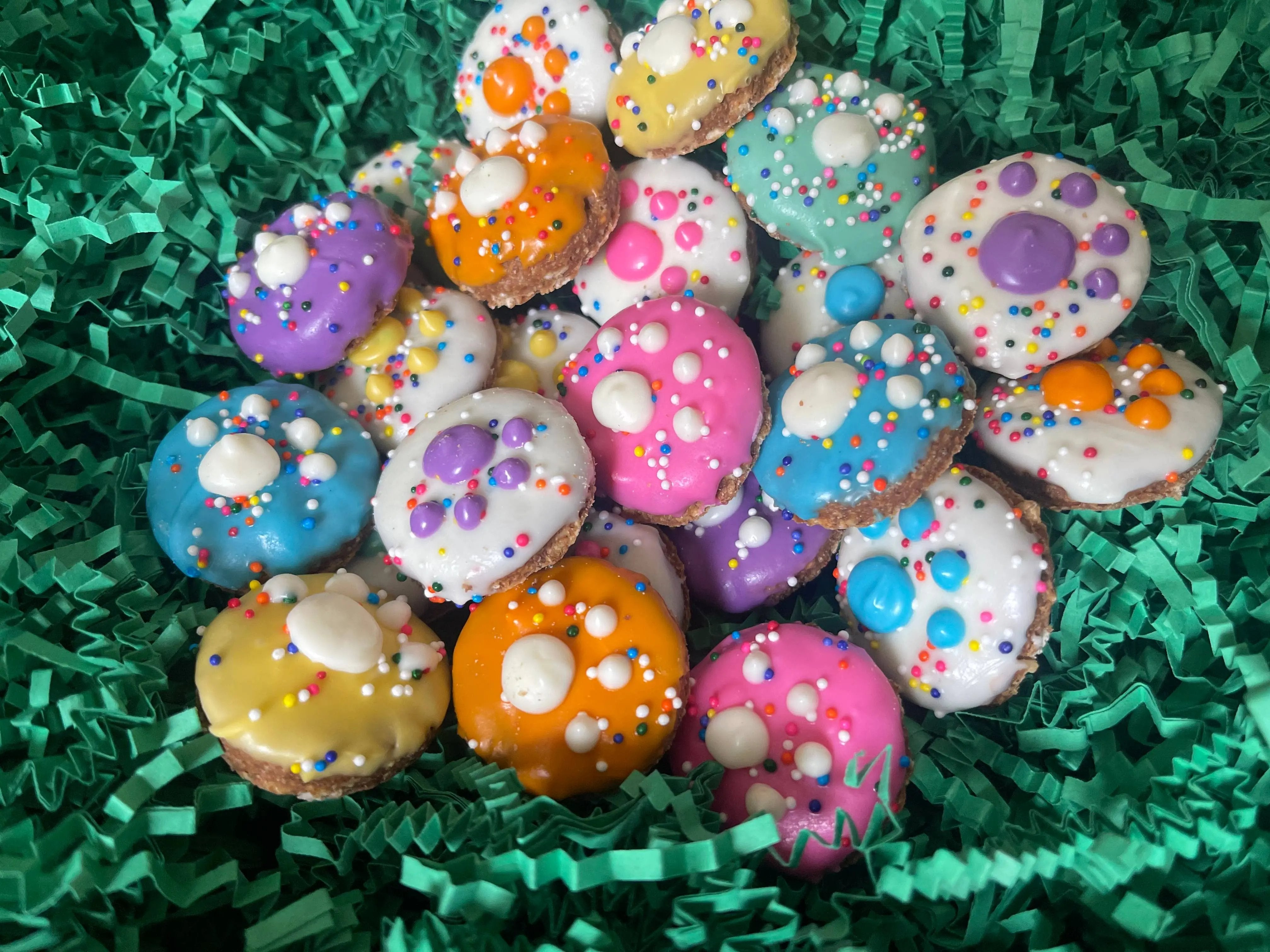 YumYum4DOGS - Mini Fiesta PAWTY Print dog treats