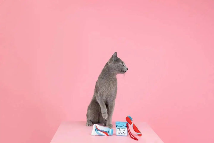 PetShop by Fringe Studio Minty Fresh Cat Toy Set 3pc