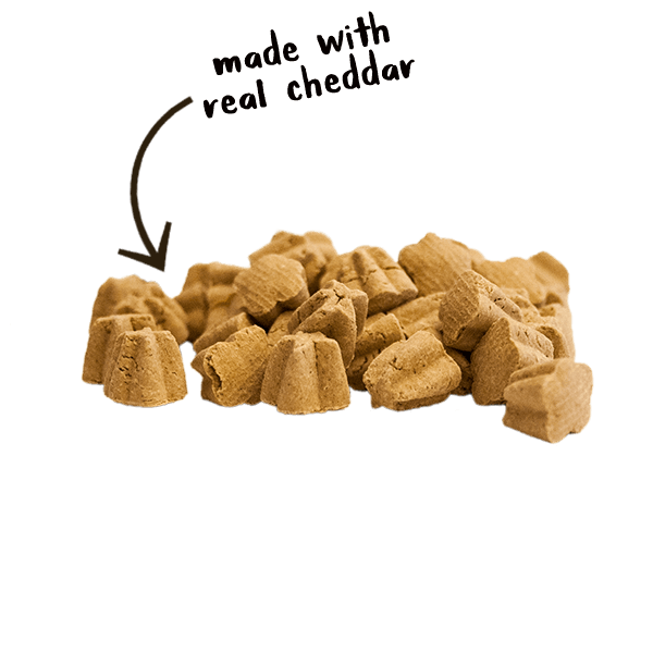 Cloud Star Tricky Trainers Crunchy Cheddar Dog Treats