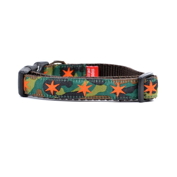 Six Point Pet Chicago Stars Collar & Leash in Camouflage Green with Orange  Stars