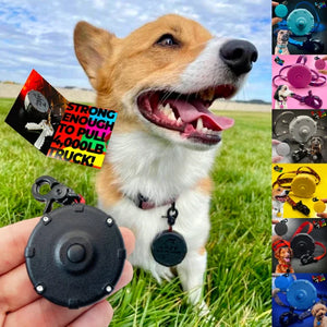 Lazy Leash Mini Wearable Power Leash - Paw Naturals