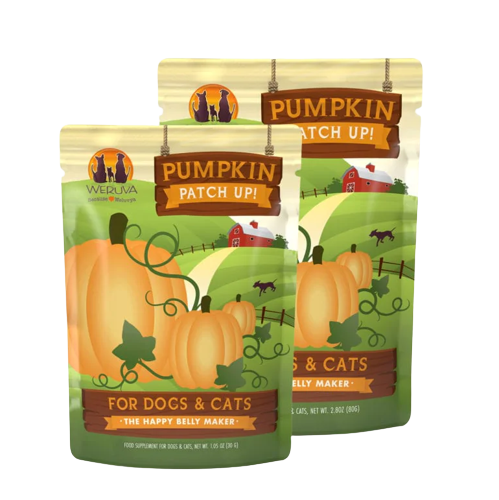 Weruva Pumpkin Patch Up Pouches Canned Dog & Cat Food