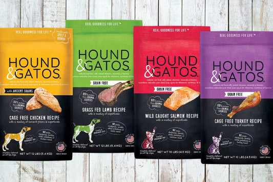 Brand Spotlight - Hound & Gatos