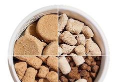 Freeze-Dried: The Science