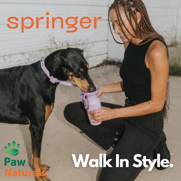 Springer's Bottles and Walking Kits: A Must-Have for Pet Owners