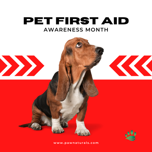 April is National Pet First Aid Awareness Month