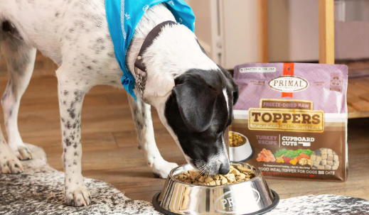 9 Reasons to Try Raw Freeze-Dried Pet Food