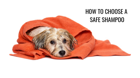 How To Choose A Safe Shampoo