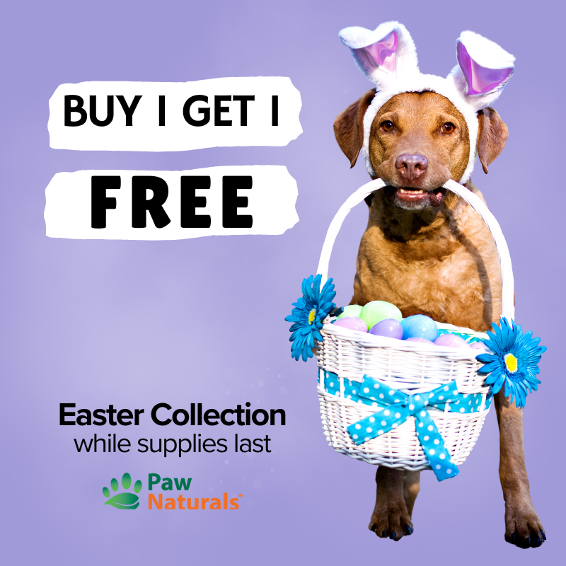 Celebrating Easter with your Pets