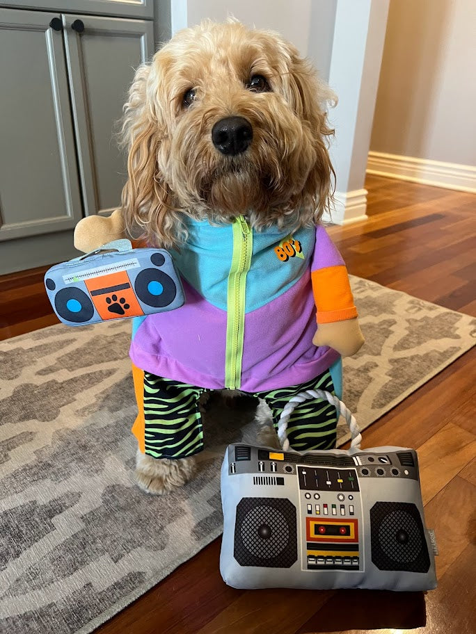 HELPFUL TIPS ON HOW TO HALLOWEEN WITH YOUR DOG