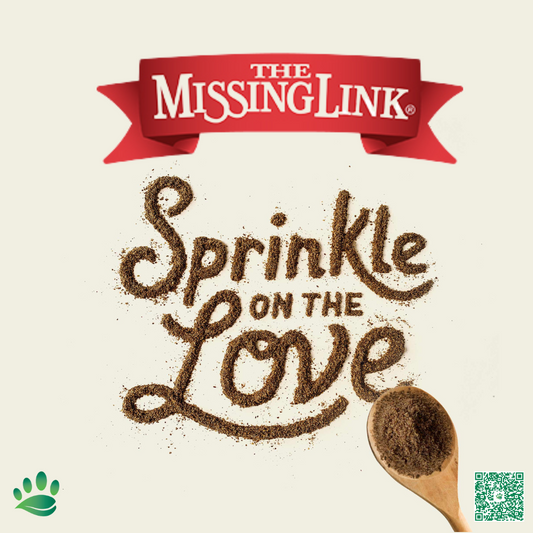 Brand Spotlight: The Missing Link
