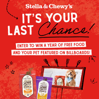 Discover Stella and Chewy's: Unleashing the Ultimate Nutrition for Your Furry Friends