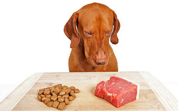 The Raw Pet Food Diet