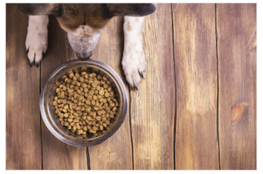 Beyond Kibble, what else is there?